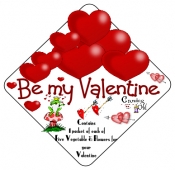 A Valentine Seed Gift Pack , Seed Gift Pack
